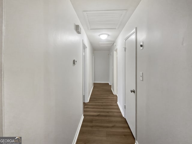 hallway featuring dark wood-type flooring