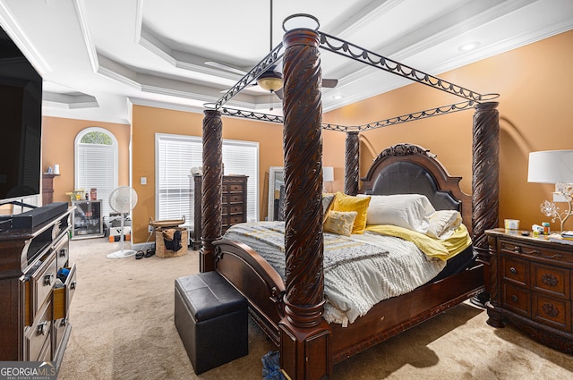 carpeted bedroom featuring crown molding and a tray ceiling