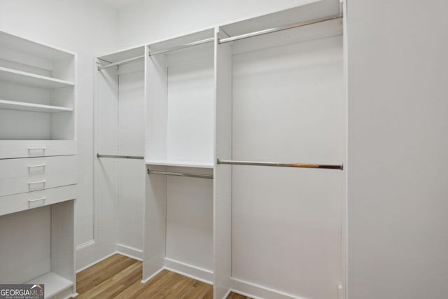 walk in closet with light wood-type flooring