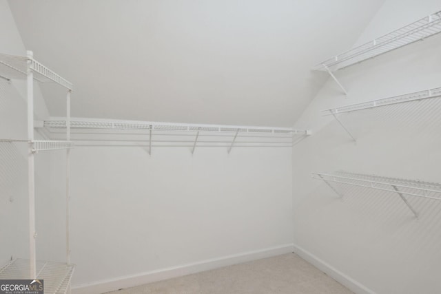 spacious closet featuring carpet flooring