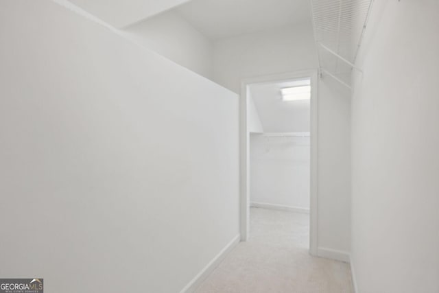 walk in closet featuring light carpet