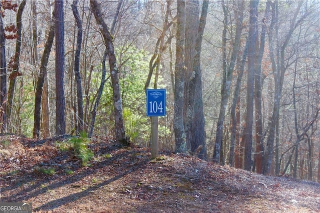 Listing photo 3 for 0 Tumbling Waters Ln, Ellijay GA 30540