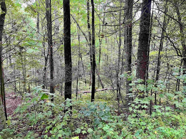 Listing photo 2 for LOT4B Briarwood Ln Unit 4B, Clayton GA 30525