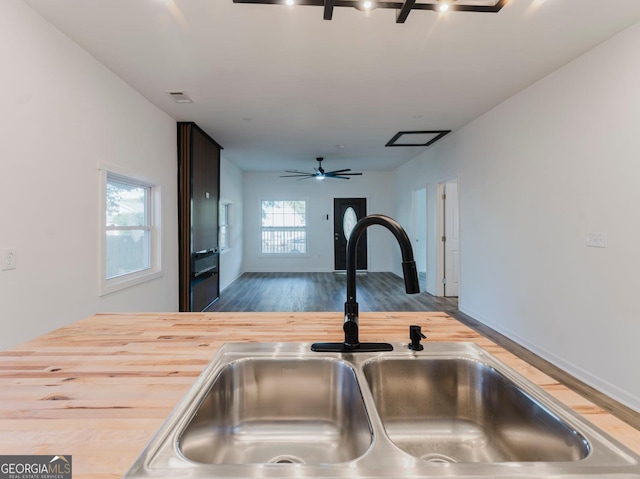 kitchen featuring ceiling fan, wood-type flooring, and sink