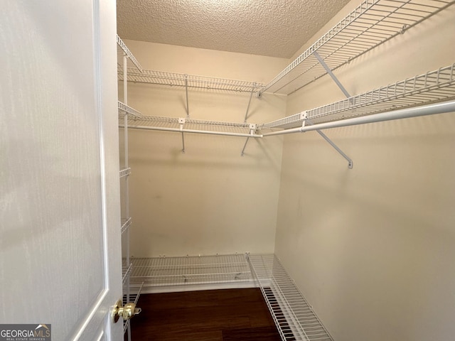 spacious closet with hardwood / wood-style flooring