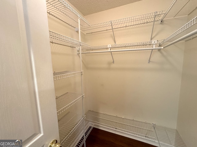 walk in closet with wood-type flooring