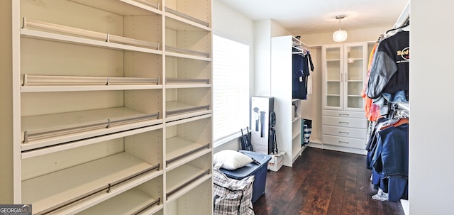 walk in closet with dark wood-type flooring