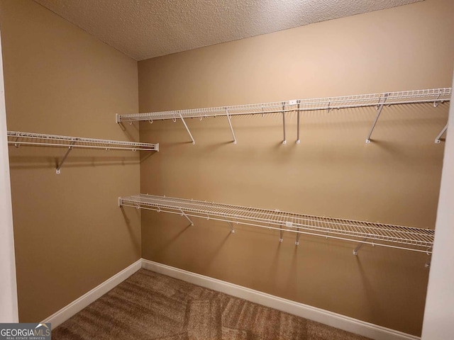 walk in closet featuring carpet flooring