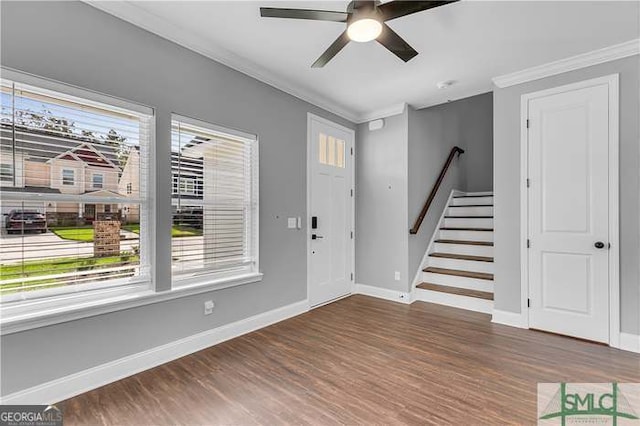 entryway featuring ornamental molding, ceiling fan, and dark hardwood / wood-style flooring