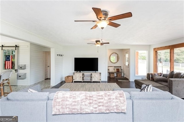 living room featuring hardwood / wood-style floors, ceiling fan, and a barn door