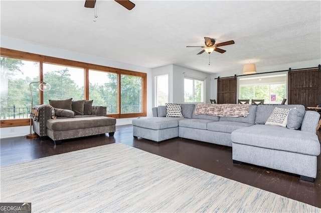 living room with a barn door, wood finished floors, and ceiling fan