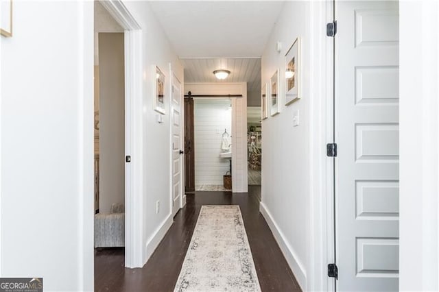 hall featuring dark wood-type flooring