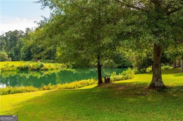 view of community featuring a water view and a yard