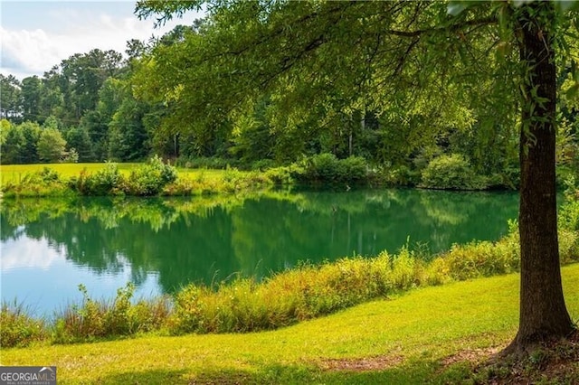 property view of water