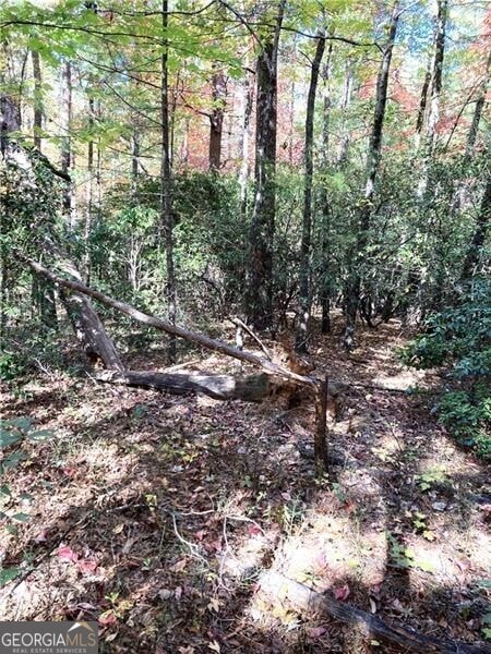 Listing photo 3 for 0 Prospector Pl, Sautee Nacoochee GA 30571