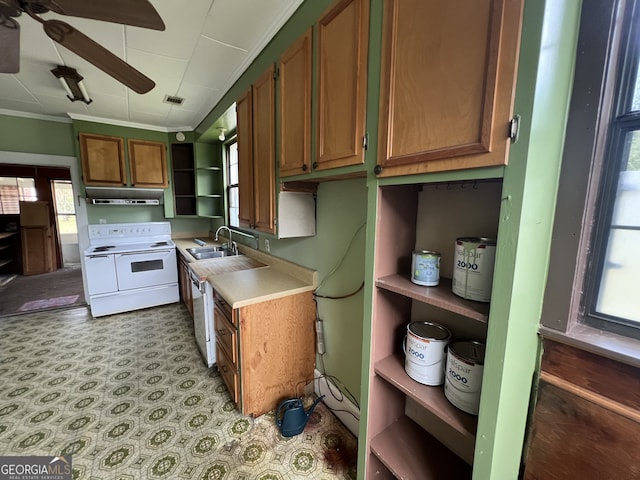 kitchen with white range with electric stovetop, crown molding, dishwasher, sink, and ceiling fan