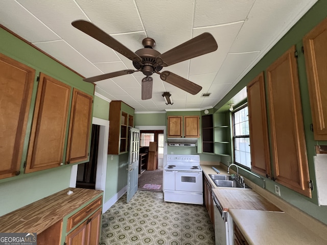 kitchen with ceiling fan, electric range, plenty of natural light, and sink