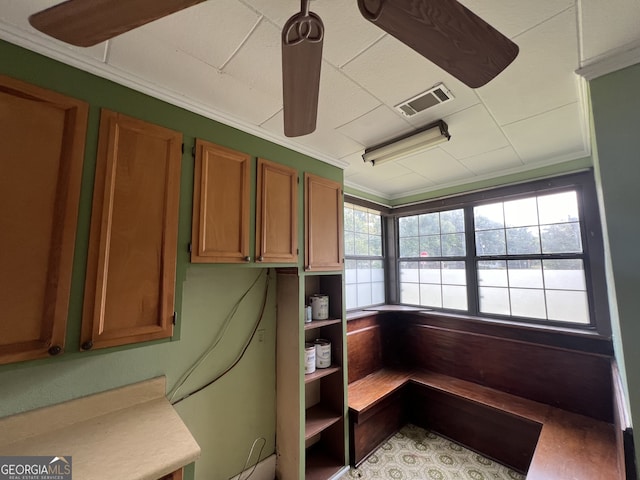 interior space featuring crown molding and ceiling fan