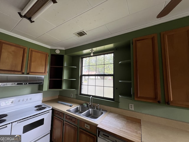 kitchen with white electric stove, ceiling fan, ornamental molding, and sink