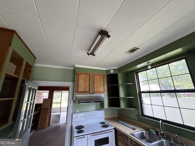 kitchen featuring ornamental molding, a healthy amount of sunlight, sink, and white electric stove