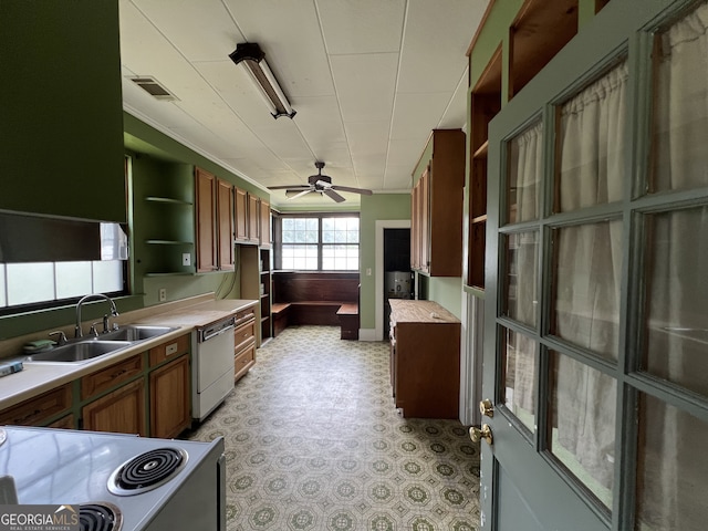 kitchen featuring range, dishwasher, sink, ornamental molding, and ceiling fan