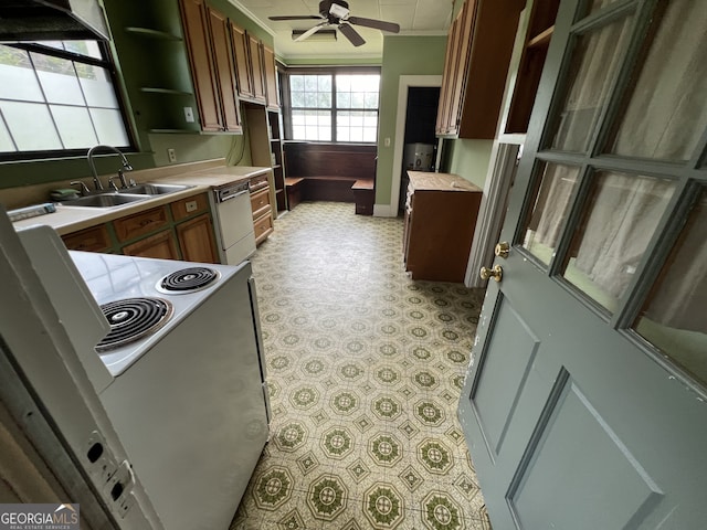 kitchen featuring crown molding, ceiling fan, sink, and white appliances