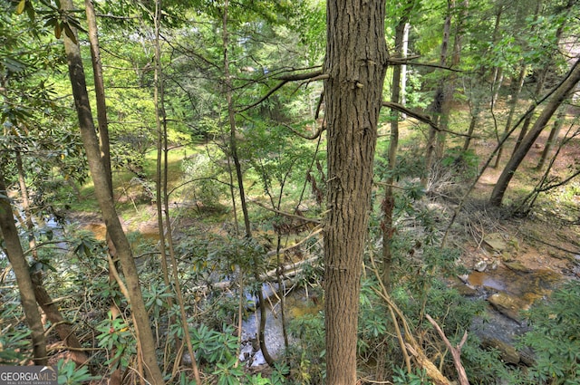 view of landscape