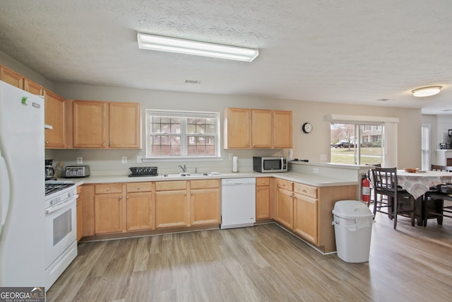 kitchen with light hardwood / wood-style flooring, white appliances, a textured ceiling, and sink