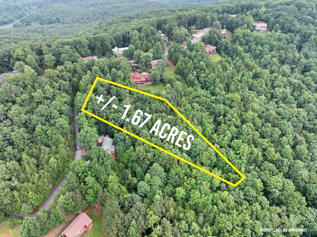 0000 Starlight Dr, Sautee Nacoochee GA, 30571 land for sale