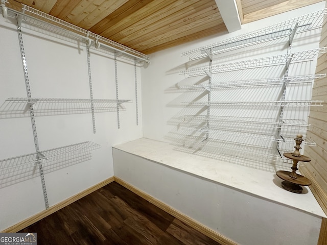 spacious closet featuring dark hardwood / wood-style flooring