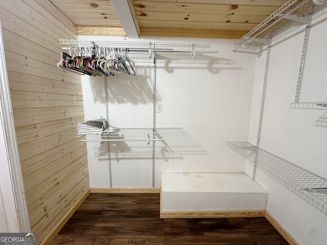 spacious closet with hardwood / wood-style floors