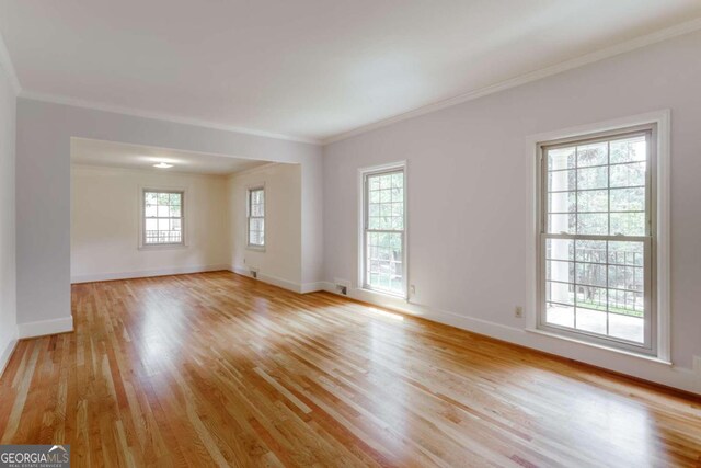 spare room featuring light wood-type flooring and a healthy amount of sunlight