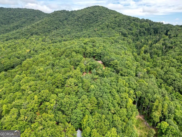 view of mountain feature