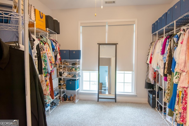 spacious closet with visible vents and carpet