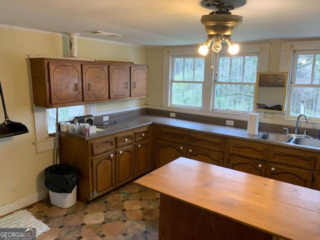 kitchen featuring ornamental molding, sink, and butcher block countertops