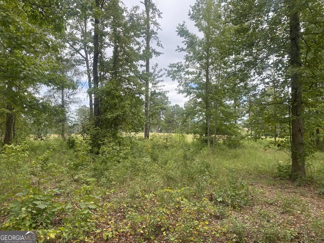 1517 Cabin Creek Trl, Griffin GA, 30223 land for sale