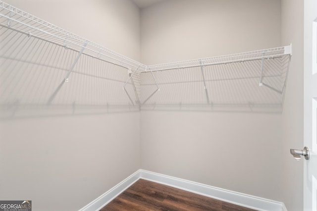 spacious closet with dark wood finished floors