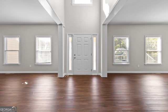 entrance foyer with plenty of natural light and dark hardwood / wood-style flooring