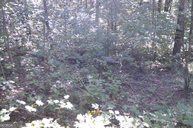 Listing photo 2 for LOT5 Hemlock Rdg, Clayton GA 30525