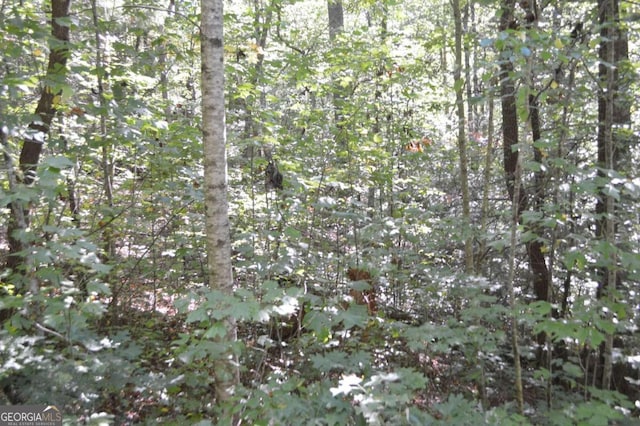 Listing photo 3 for LOT5 Hemlock Rdg, Clayton GA 30525