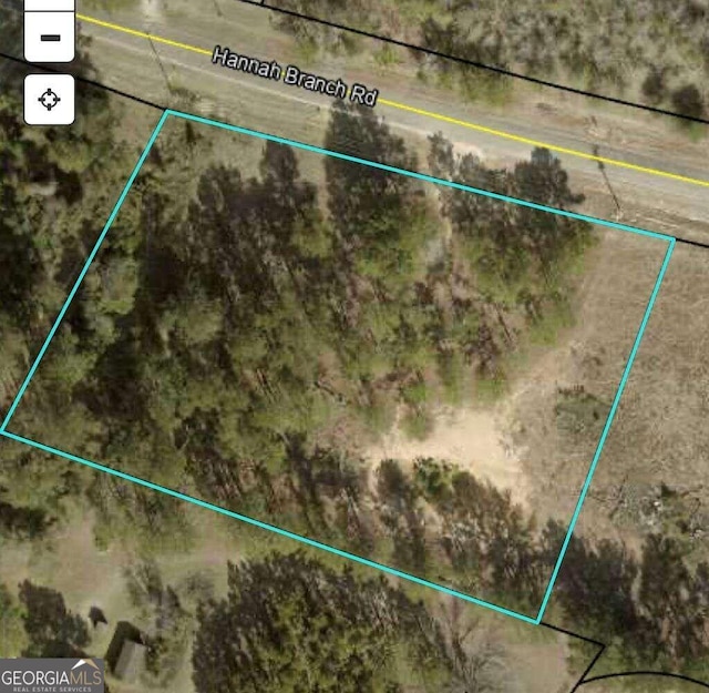 TBD Hannah Branch Rd, Cordele GA, 31015 land for sale