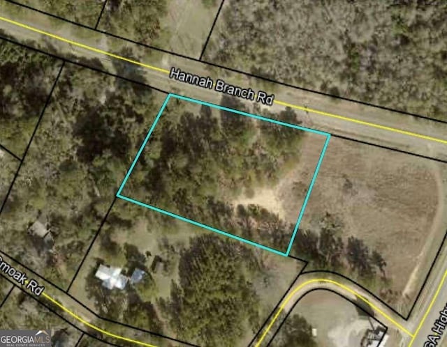 Listing photo 3 for TBD Hannah Branch Rd, Cordele GA 31015