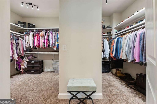 spacious closet with carpet floors