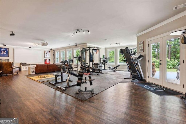 workout area featuring wood-type flooring, french doors, and a wealth of natural light