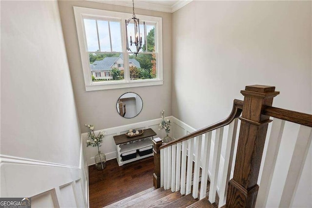 staircase with a chandelier, crown molding, and wood-type flooring