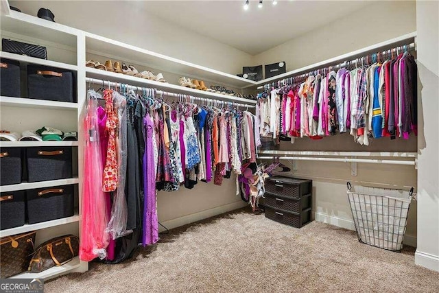 walk in closet featuring carpet floors