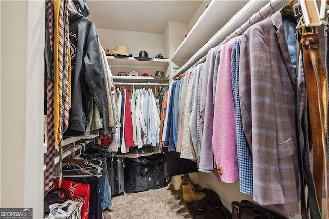 walk in closet featuring carpet flooring