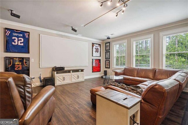 cinema featuring a healthy amount of sunlight, dark hardwood / wood-style flooring, and crown molding