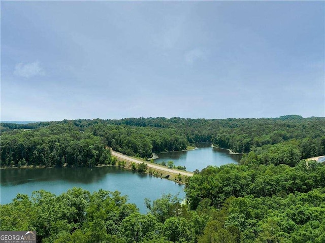 view of water feature