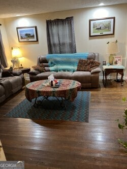 living room featuring dark hardwood / wood-style floors